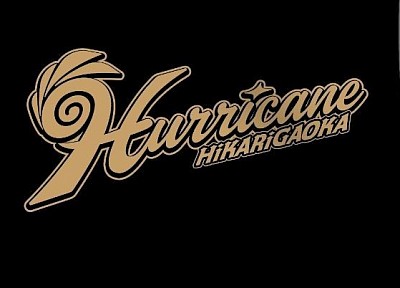 光が丘ハリケーン